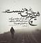 آواتار hamidsh91